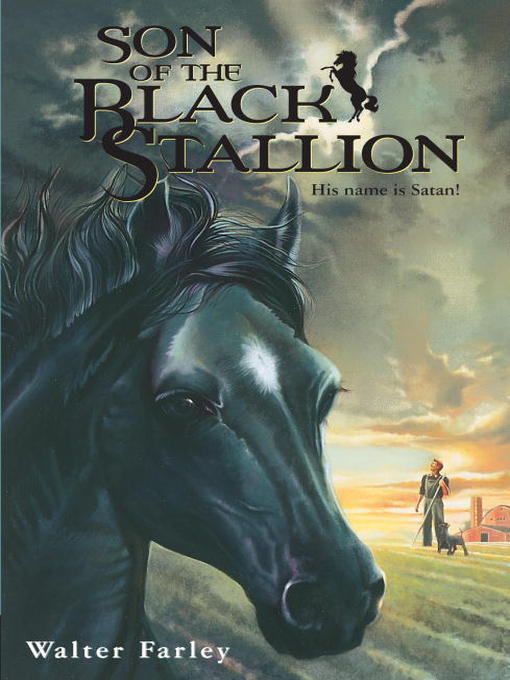 Title details for Son of the Black Stallion by Walter Farley - Available